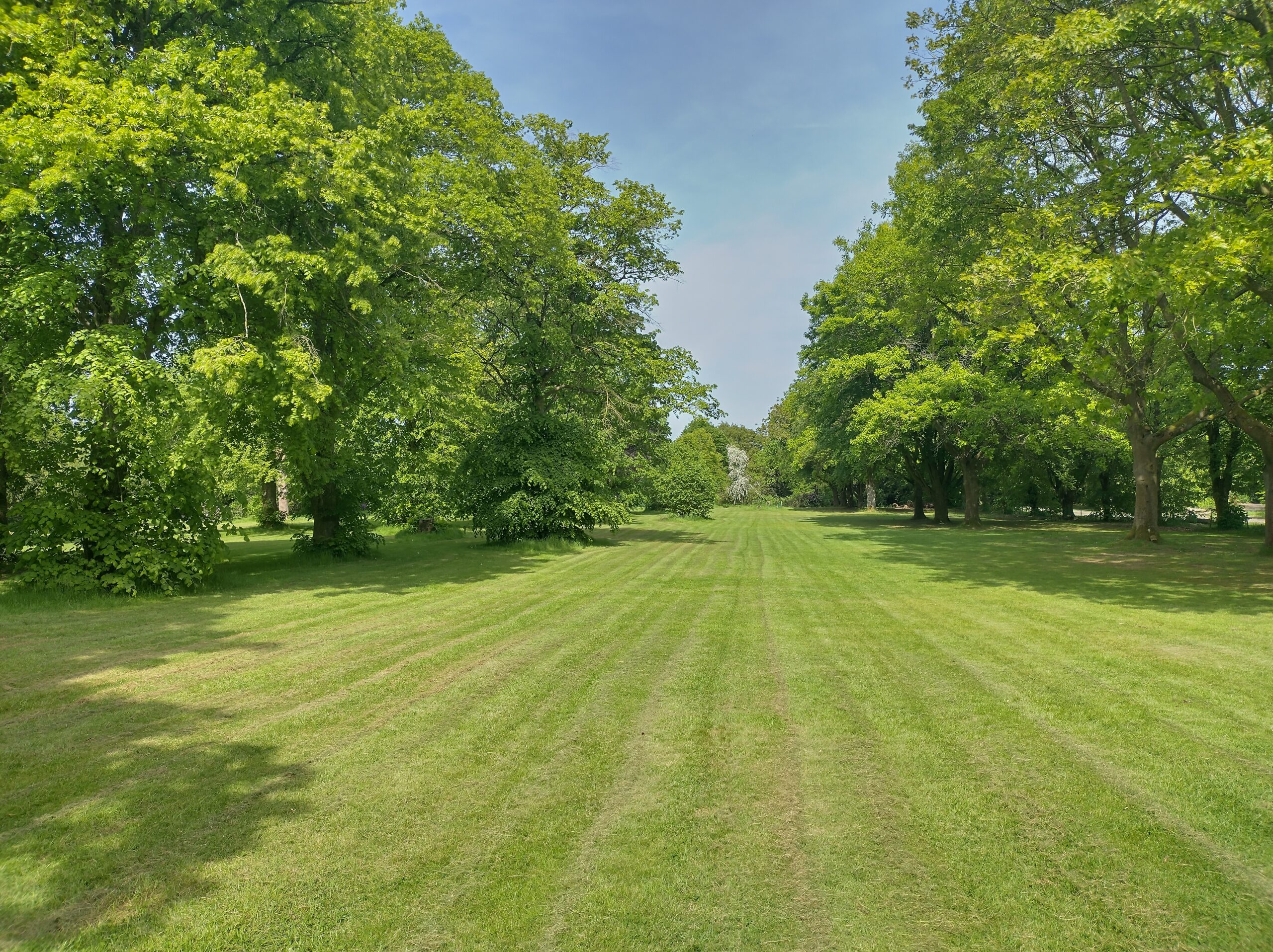 img 20230529 153041 hdr