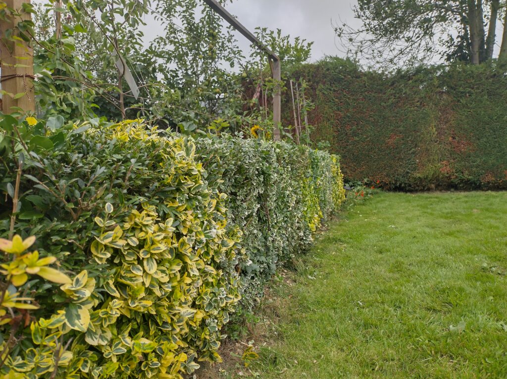 img 20230831 161618 hdr