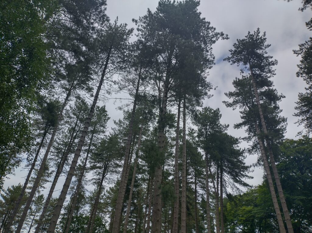 img 20240805 145059 hdr