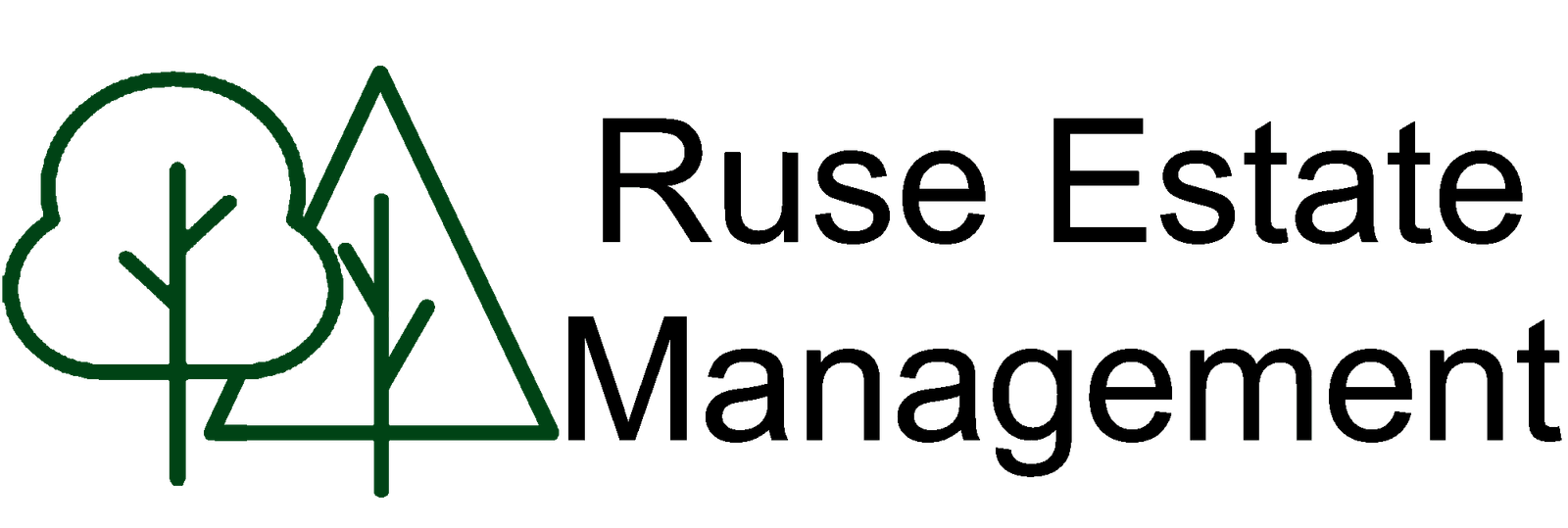 logo v5 as banner