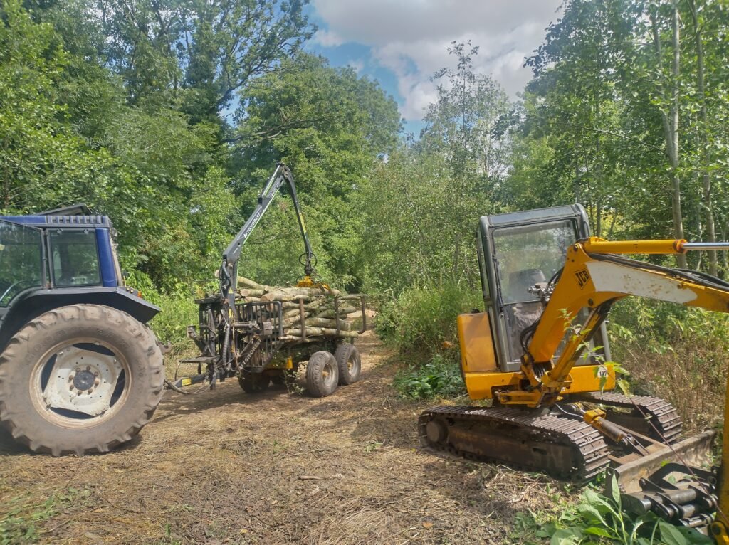Timber Harvesting img 20260731 124929 hdr